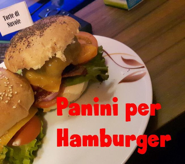 Panini per Hamburger 🇺🇸🇺🇸🇺🇸