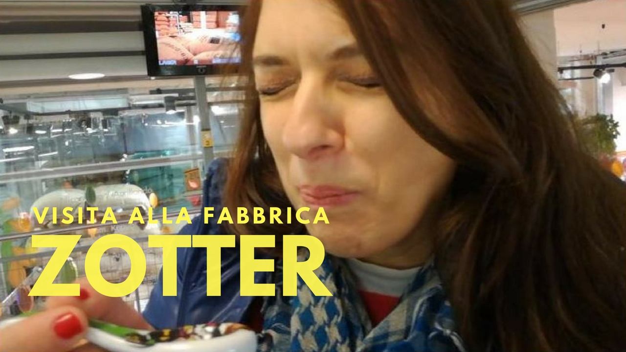 La visita alla Fabbrica del Cioccolato Zotter